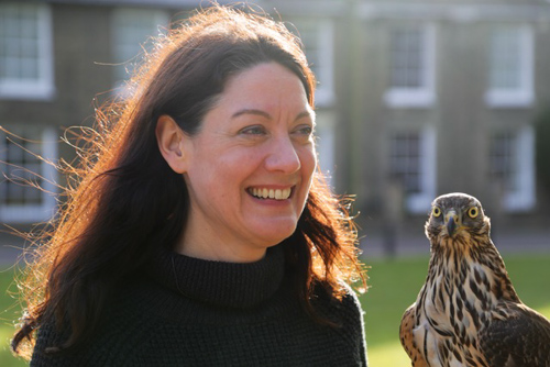 H is for Hawk - Helen Macdonald